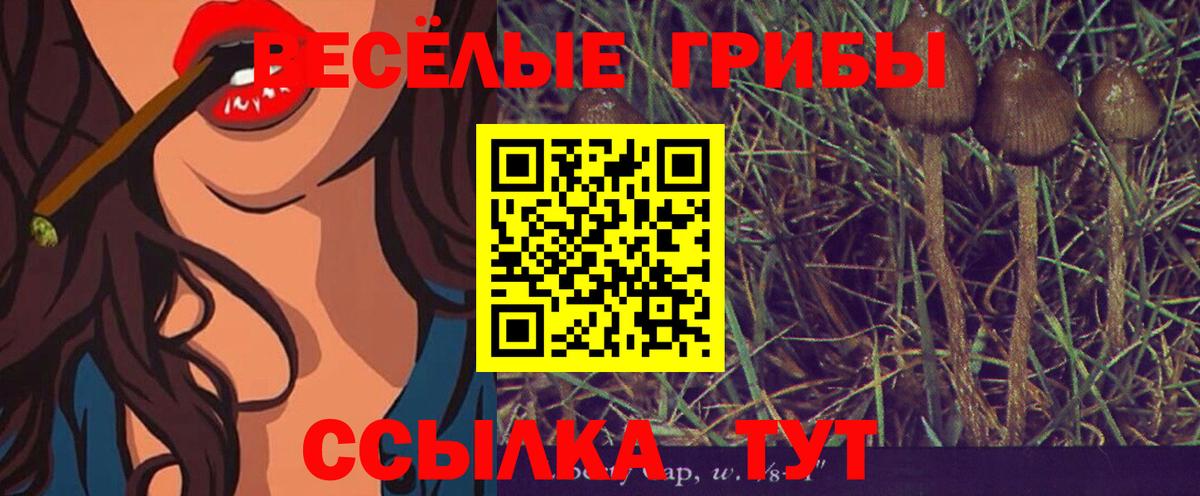 Галлюциногенные грибы GOLDEN TEACHER  цена наркотик  Прохладный  Вход с VPN 